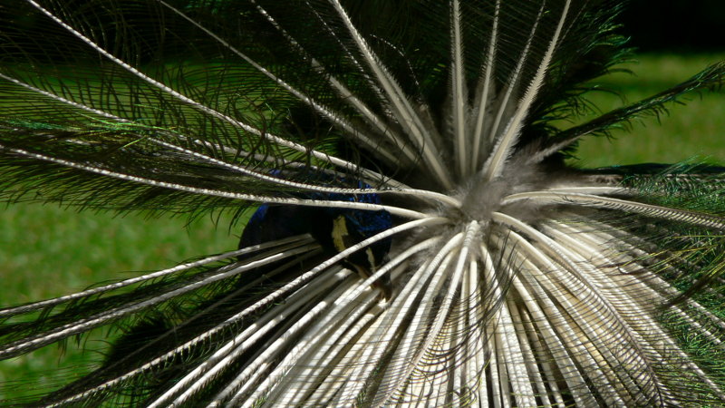 P1280357.JPG