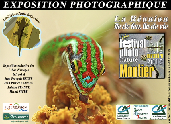 Affiche expo Montier 2012.JPG