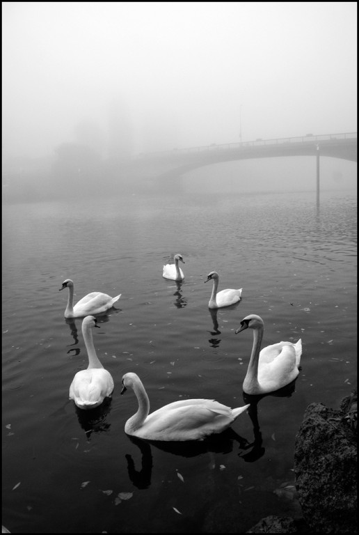 6371743069_05cd51f8b7_b[1] [1024x768].JPG