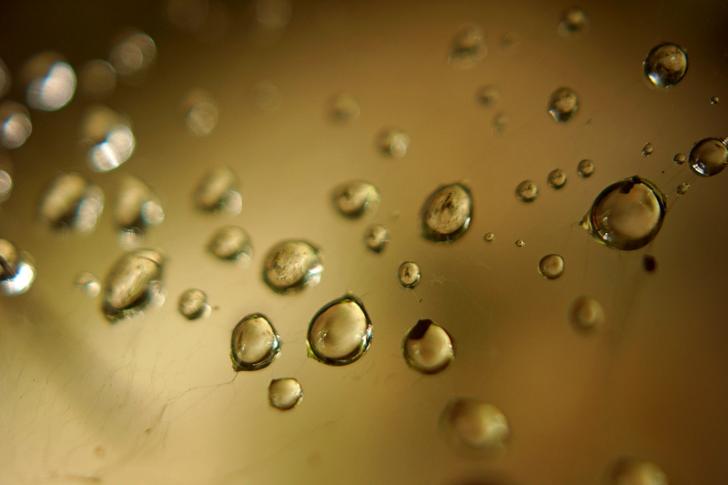 Copie de DSC06644.jpg