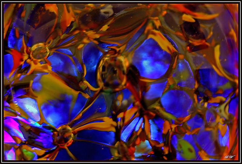 Canon EOS 450D - 0025DAP.jpg