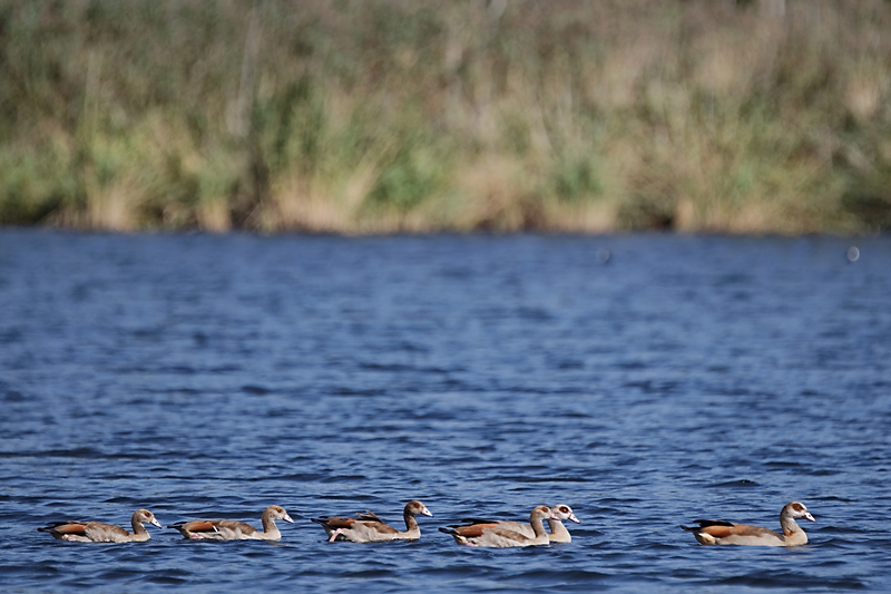 IMG_30411_DxO8.jpg