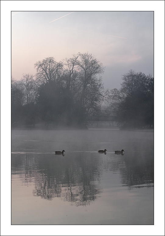 2011-12-11_IMG_3933_oiseau_i_et_n_web.jpg