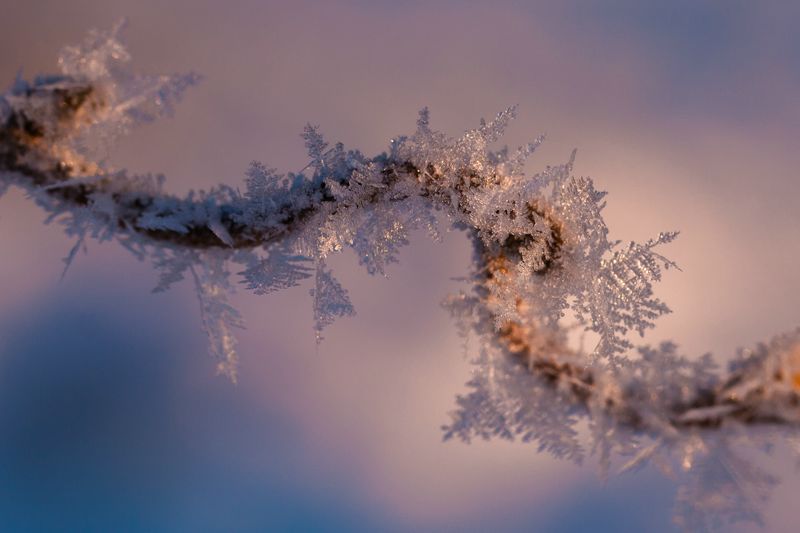 cristaux [800x600].jpg