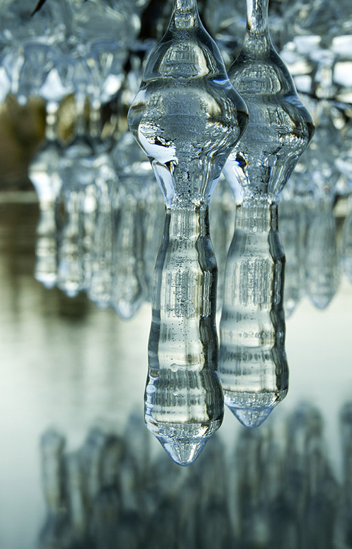 image et nature2.jpg