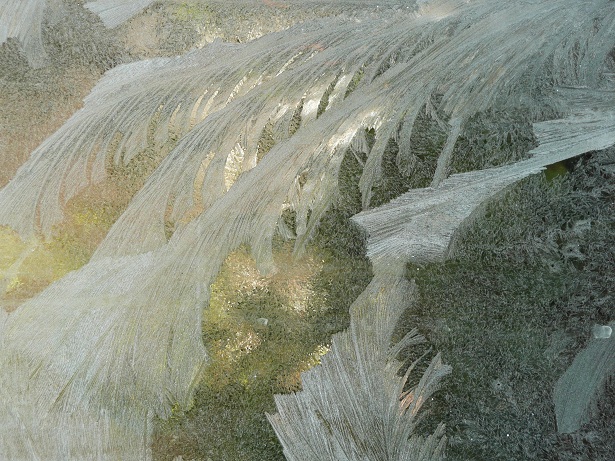 Fleurs de cristaux 1.jpg