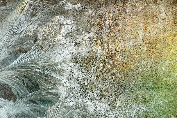 Fleurs de cristaux 2.jpg