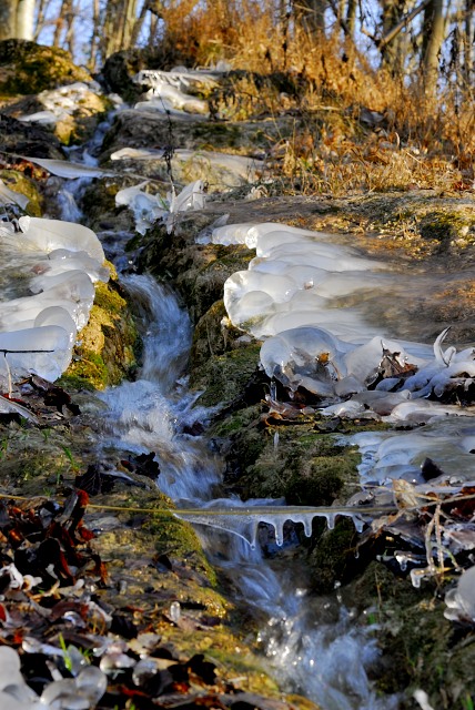 petit ruisseau glacé.JPG