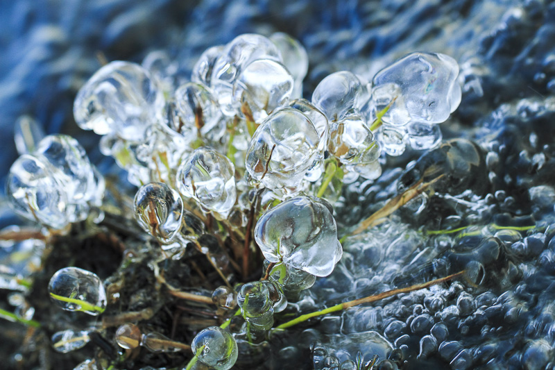 Vert glacé.jpg