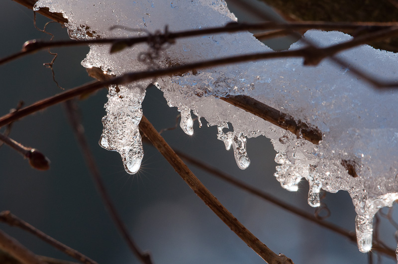 scintiller au soleil.jpg