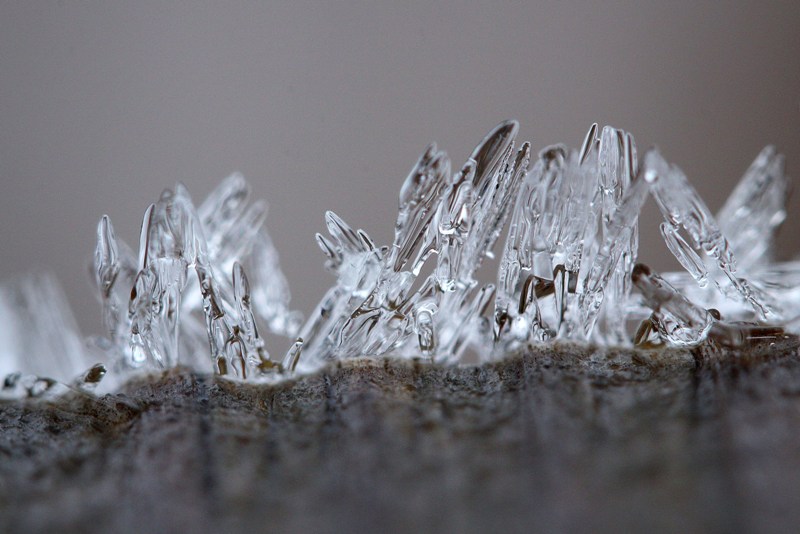 IMG_0024 - Copie.JPG