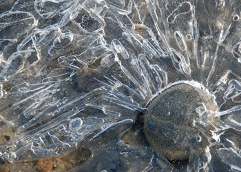 Glace - bord de l'Arve.JPG