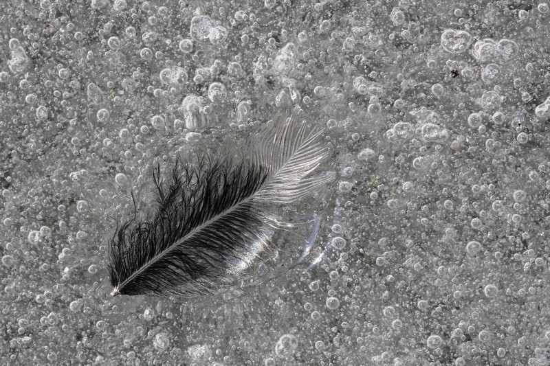 IMG_6015 - Copie.JPG