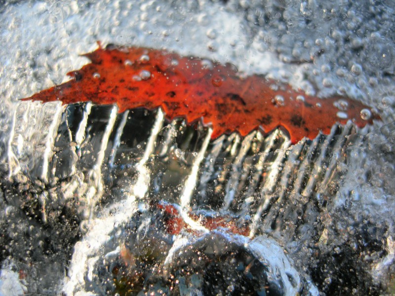 2784_3 [800x600].JPG