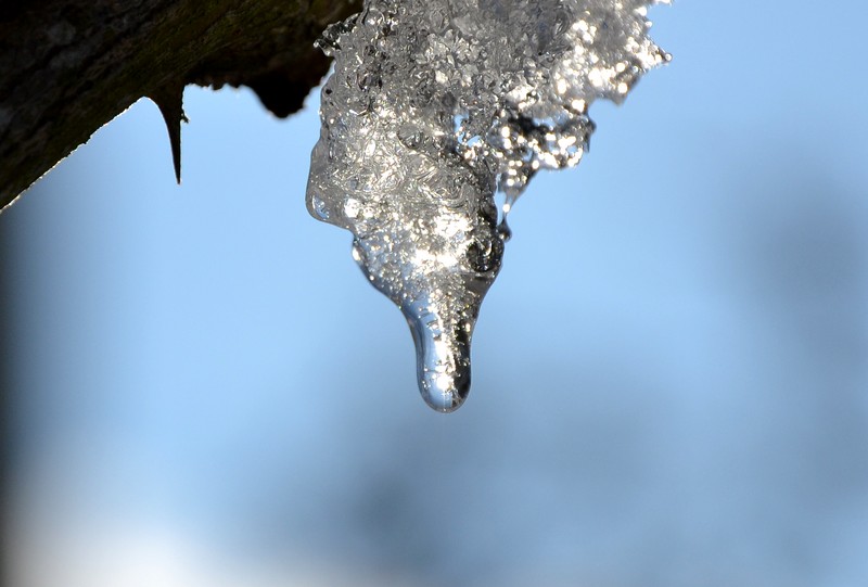 DSC_0188 - Copie.JPG