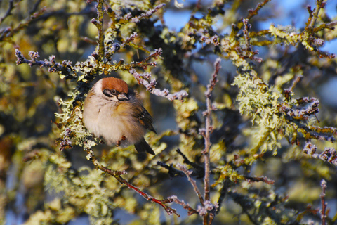DSC_0056cc.jpg