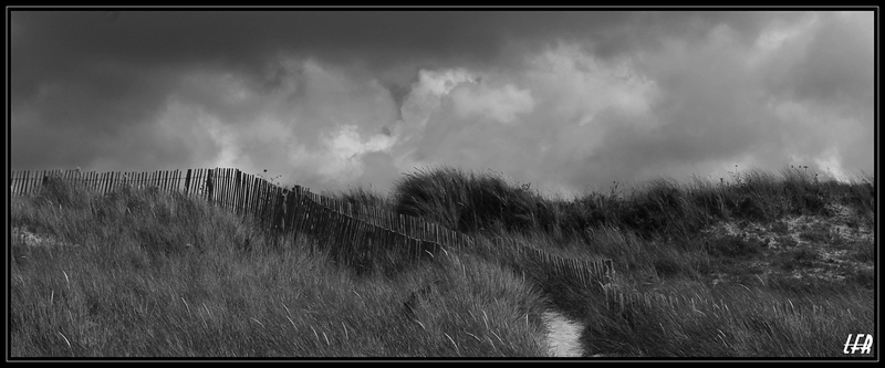 dune-3r.jpg