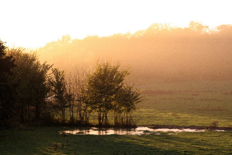 jura nov 2012 red.jpg