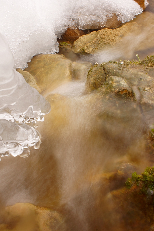 Copie de DSC09631.jpg