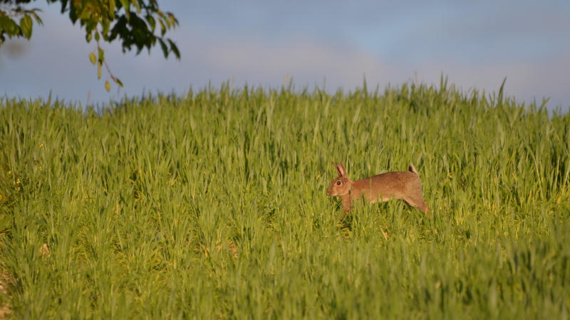 DSC_7734.JPG