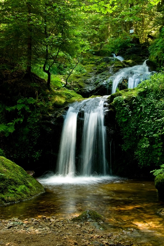 IMGP8748 - Cascade.jpg