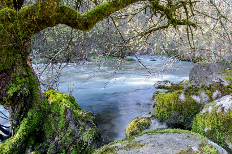 DSC_0099 - Copie (2).jpg