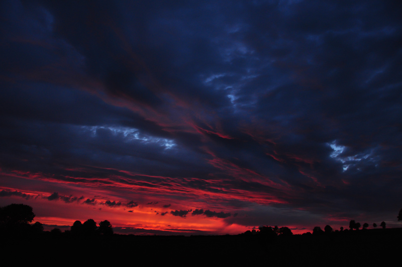 DSC_0111.jpg