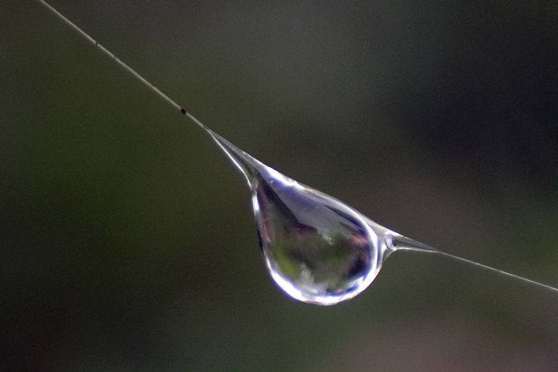 AA_Goutte d'eau 1.jpg