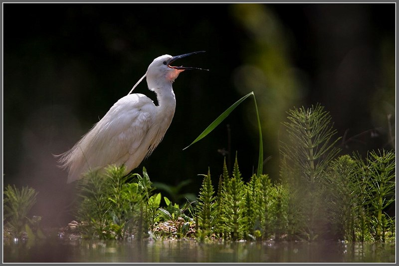 31052013-IMG_9294-2 (Copier)_hf (Copier).JPG