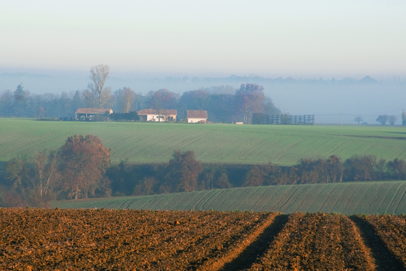 4350-brouillard.jpg