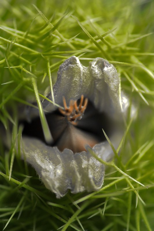 Viens m'embrasser 2.JPG