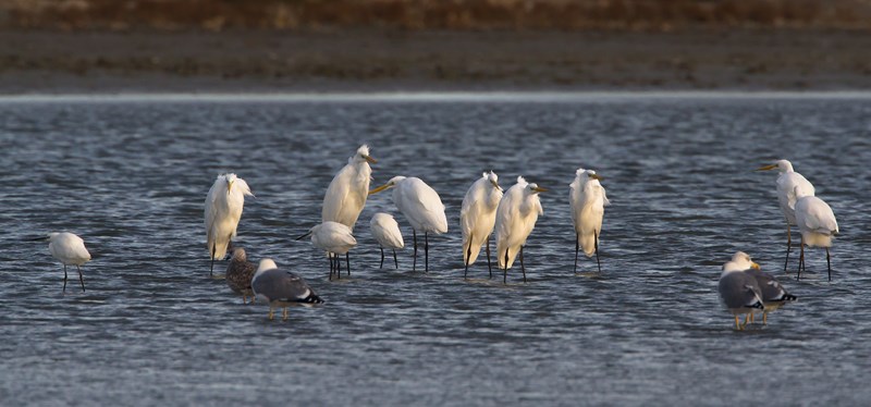 30102013-IMG_3684 (Copier).JPG