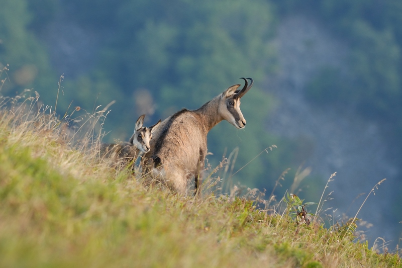 CHO_0157 (Copier).JPG