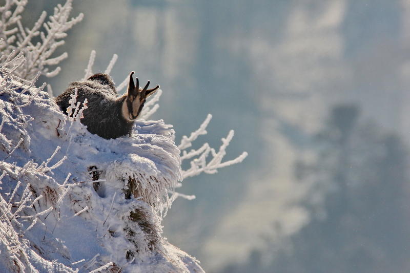 au bord du vide_1_4_1.JPG