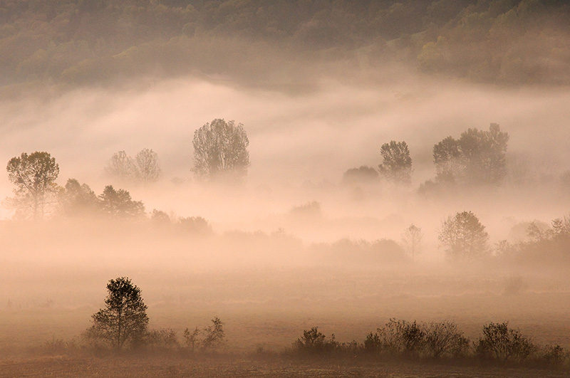 1-PremierBrumes1 (2) N2.jpg