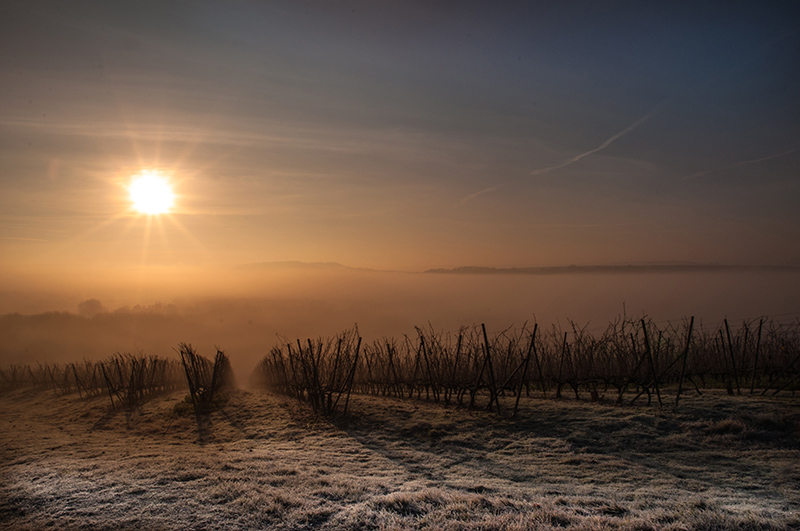 brume photo 3.jpg
