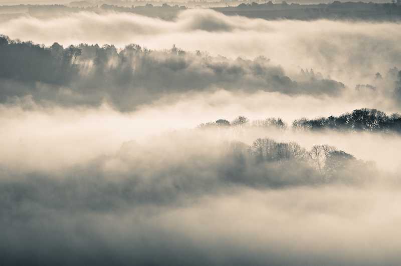 20121024_0917_DSC_0374_IN.jpg