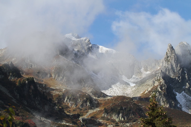 IMG_0156 ACD 1.jpg