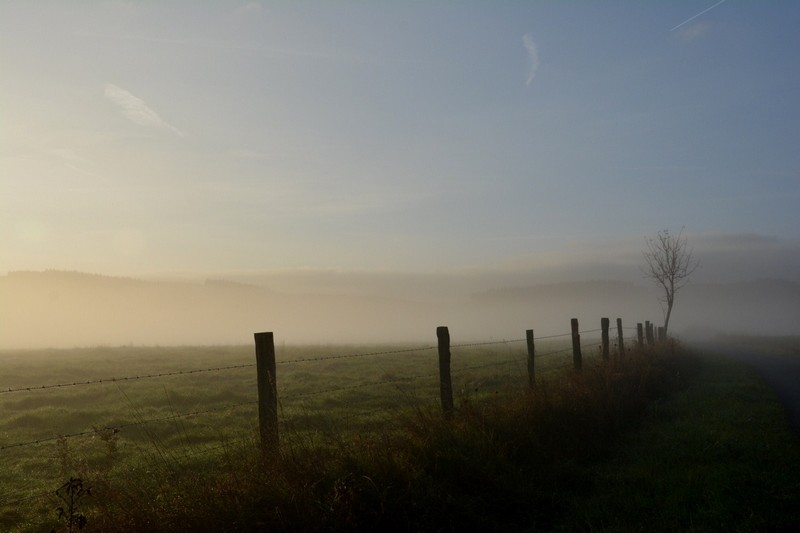 DSC_0043.JPG