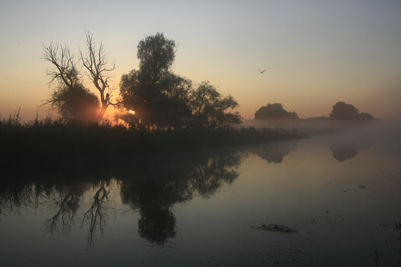 danube 2.jpg