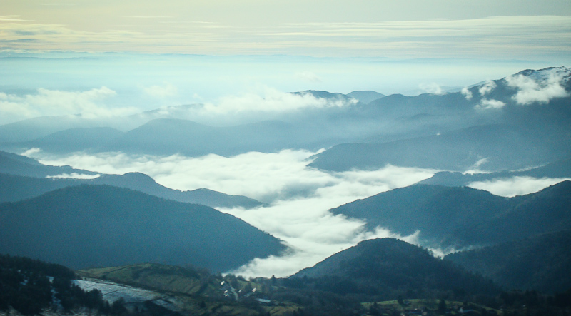 DSC04255-2.jpg