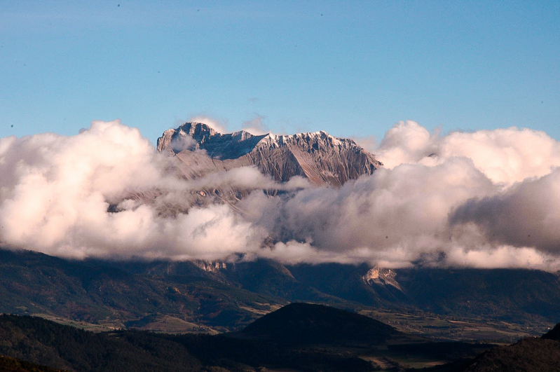 DSC_1690-2.jpg