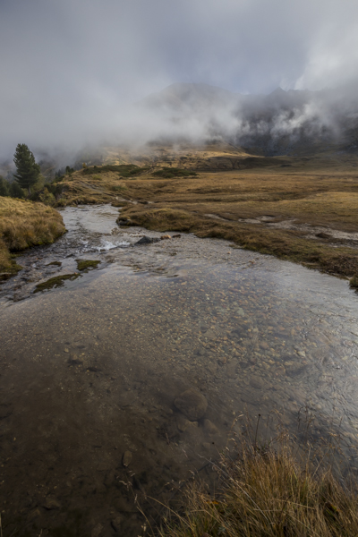 _MG_3112.jpg