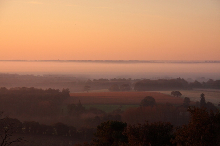 Paysage  lumière du matin_4562 (3).JPG