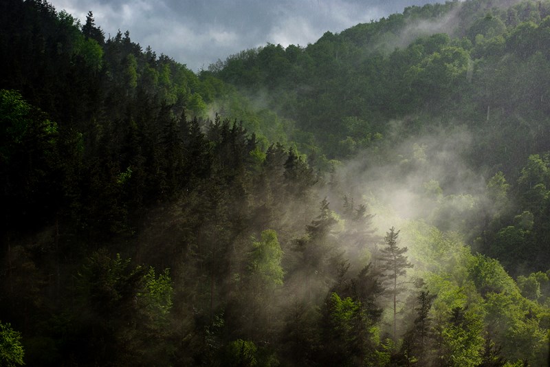 brumes et brouillard (5) (Copier).jpg