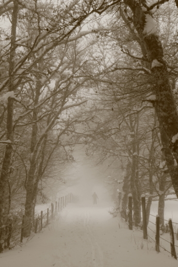 IMG_0379 - Copie.JPG