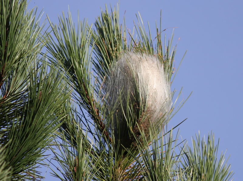 Copie de Copie de IMG_5378.JPG