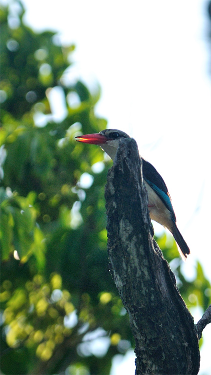 DSC_3066.jpg