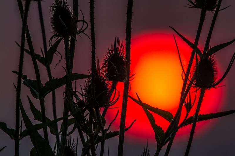 16072013-IMG_2440 (Copier).JPG