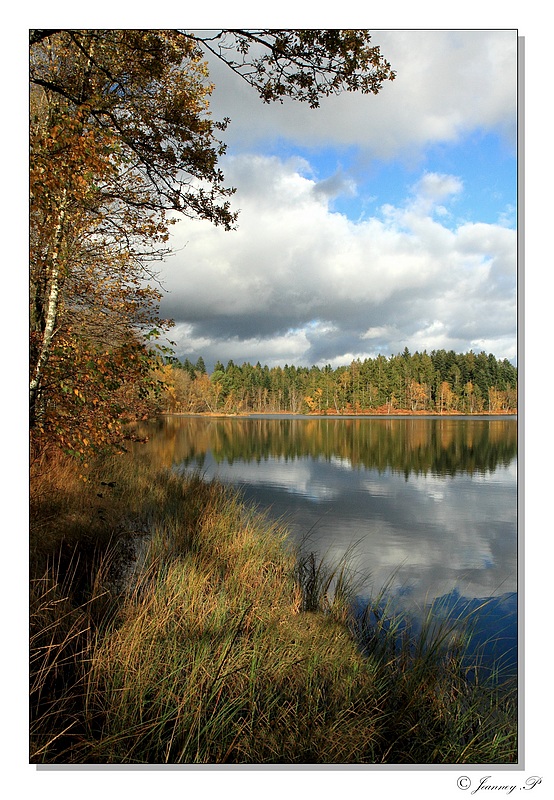 Paysage ecromagny_09.11.13_© Jeanney Patrice-0002.JPG